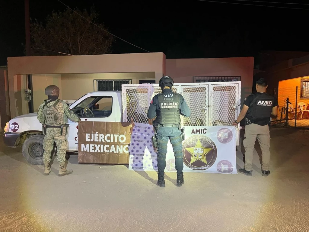 Rescatan a felinos en cateo por maltrato animal en Caborca