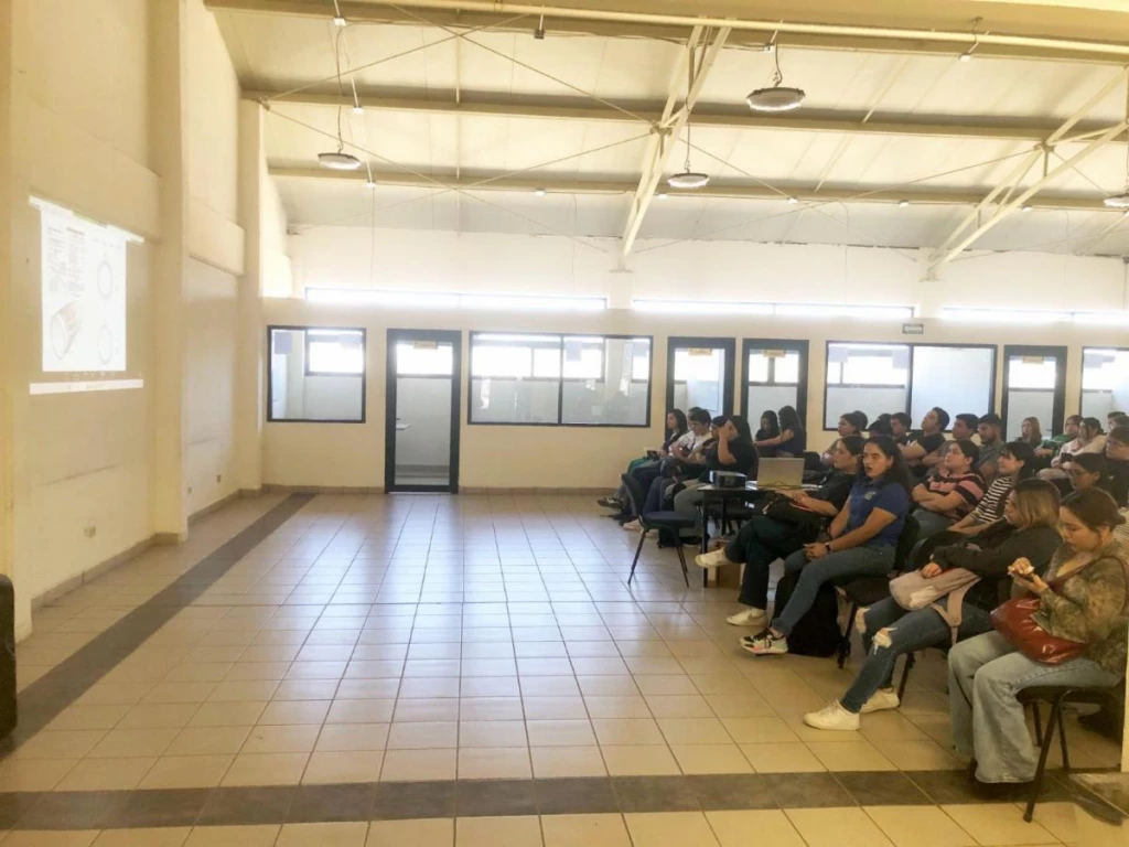 Impulsa Gobierno de Sonora acciones para proteger creaciones intelectuales: Itesca