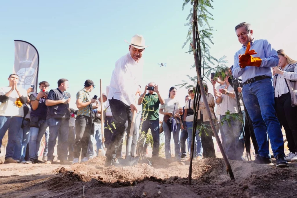 Gobernador Durazo proyecta legado ambiental con plantación de más de 4 mil árboles en La Sauceda