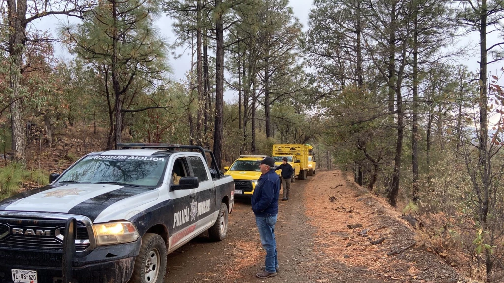 Intensifican esfuerzos para sofocar incendios forestales en la sierra de Sonora