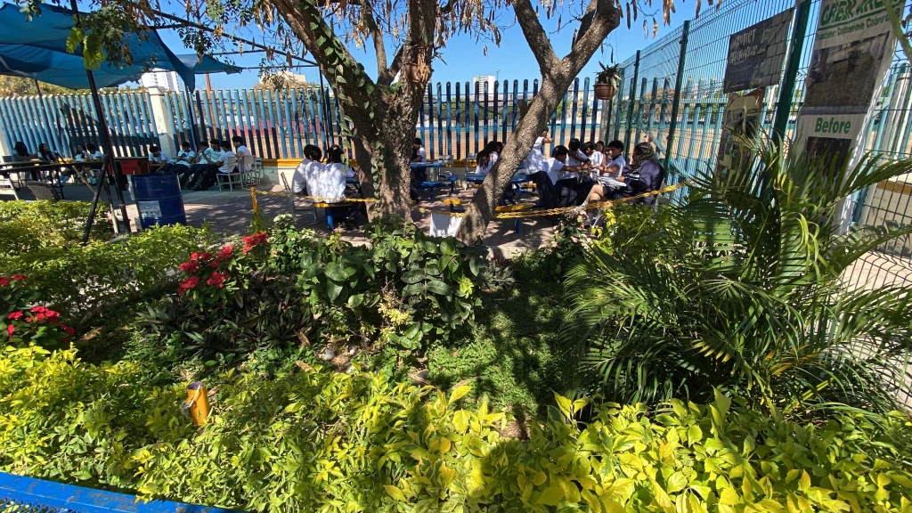 Preparatoria UAS Mazatlán transforma su entorno con un jardín ecológico
