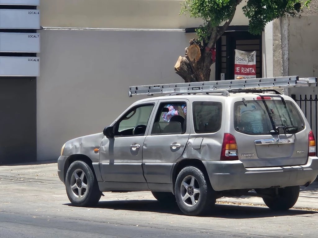 Muere pintor tras caer de una escalera en una vivienda en Culiacán