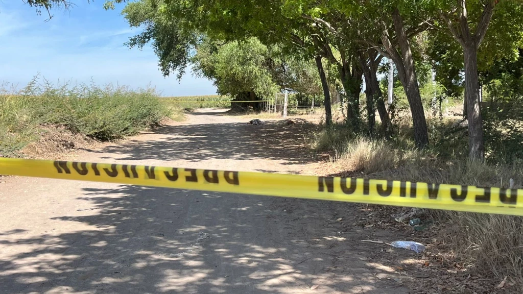 Localizan a dos hombres ejecutados en el Ejido Buenos Aires, en Navolato