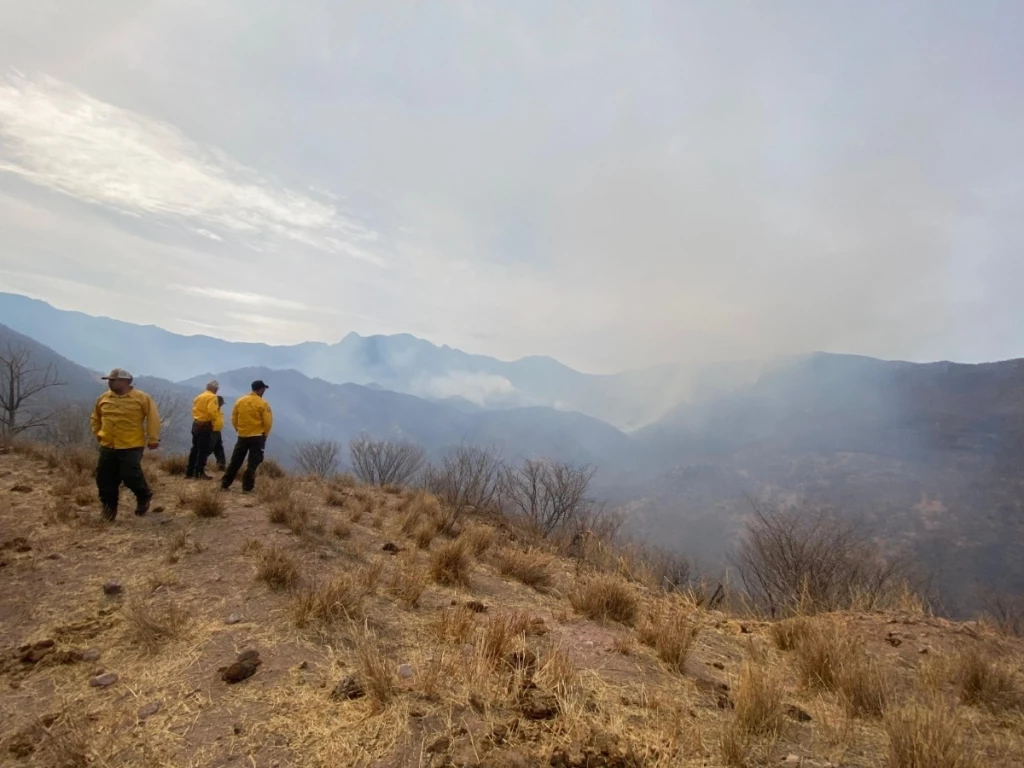 Gobierno de Sonora reforzará el combate al incendio forestal en Bavispe
