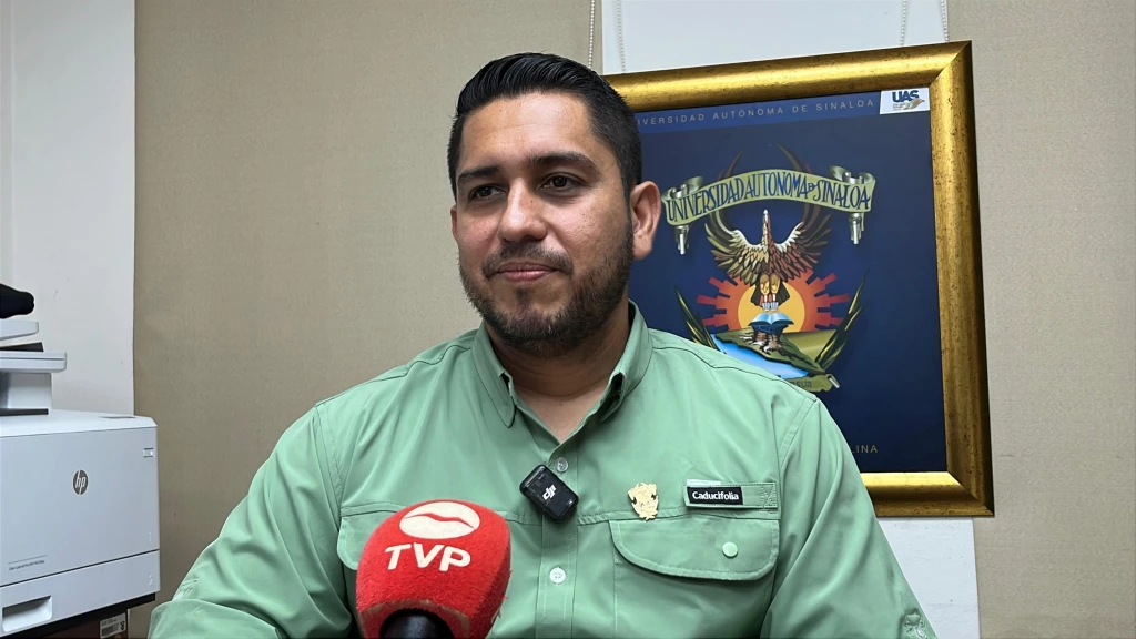 Ya están listos los preparativos para el examen de admisión UAS Región Sur 2025-2026