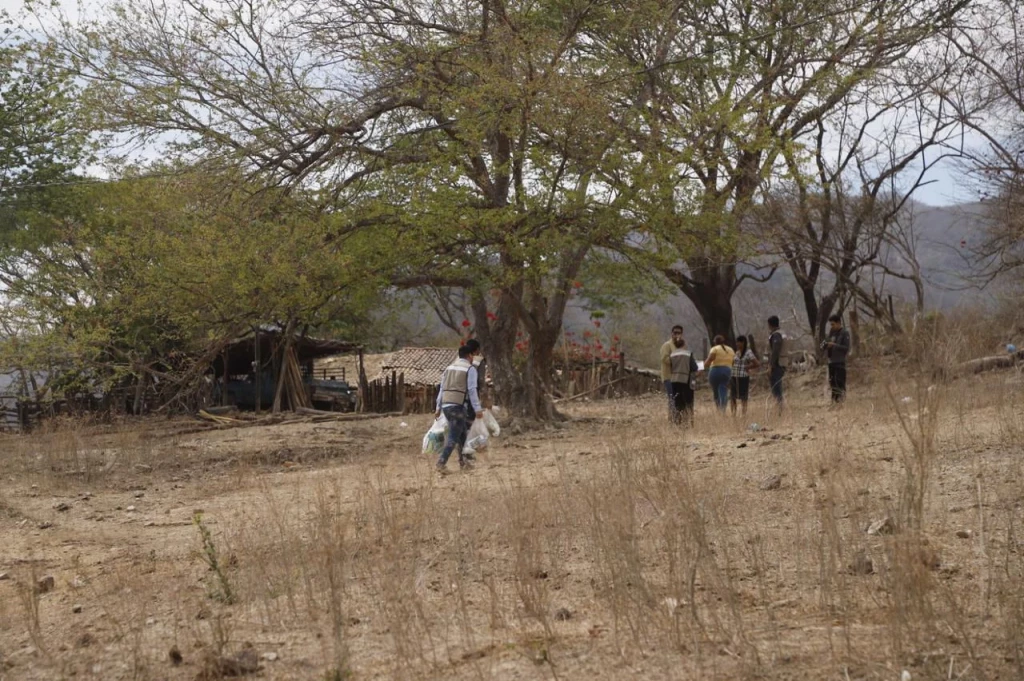 Hay cinco incendios forestales activos en Sinaloa
