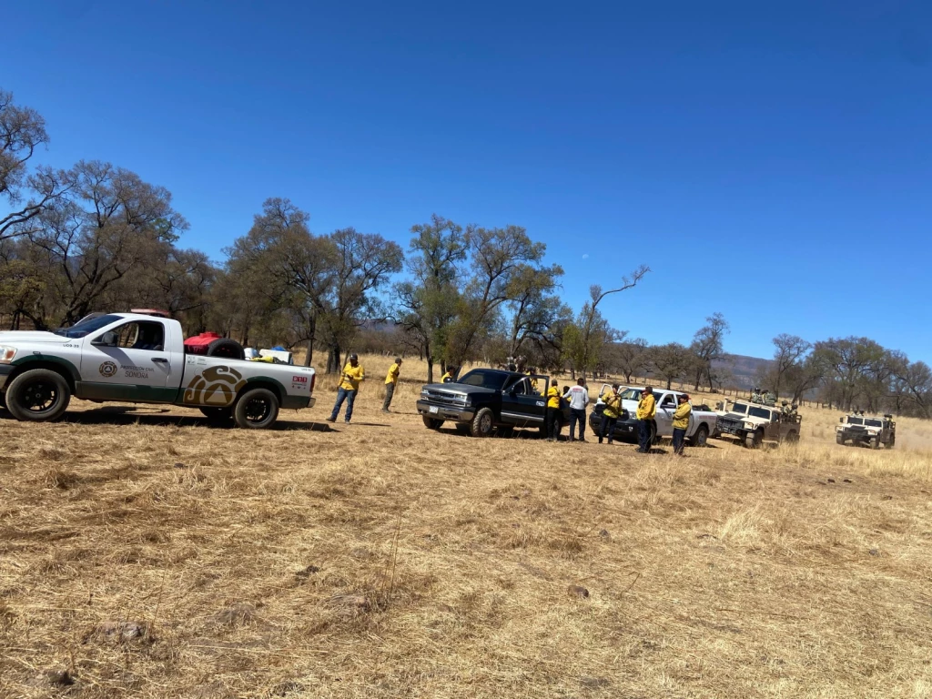 Liquidan incendio forestal en Yécora