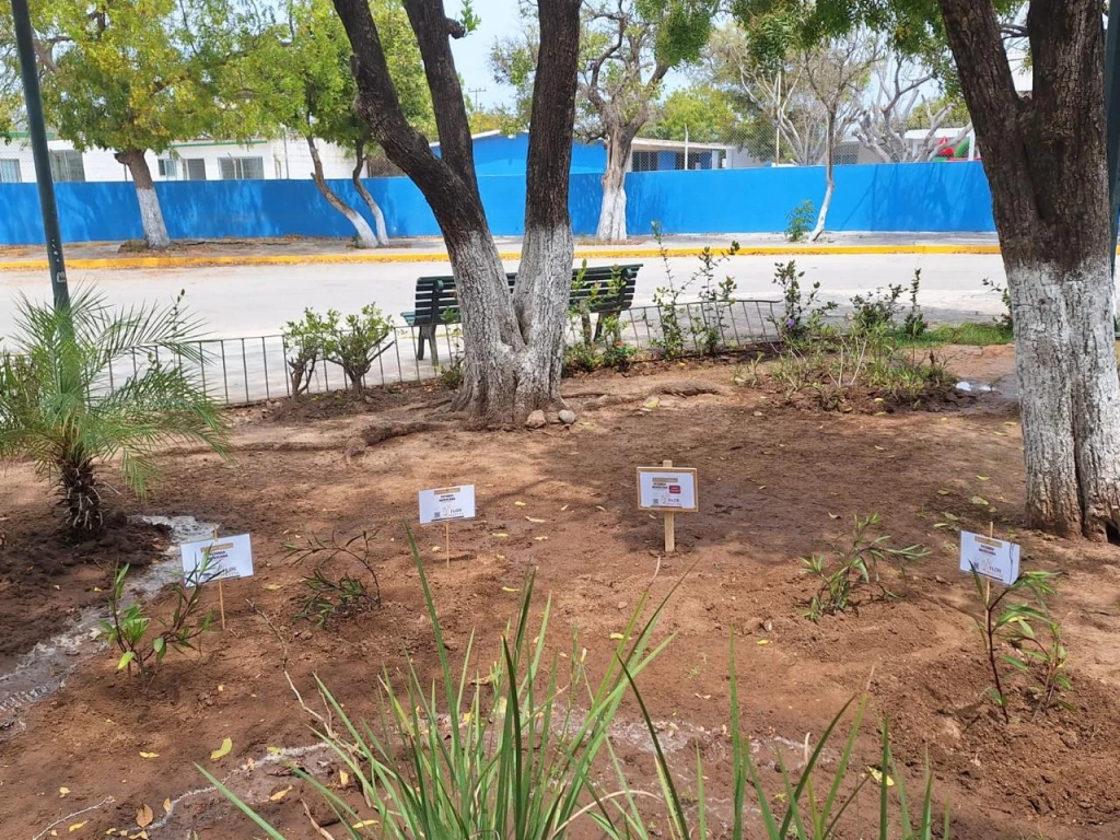 Crean jardín polinizador en la sindicatura de Mármol