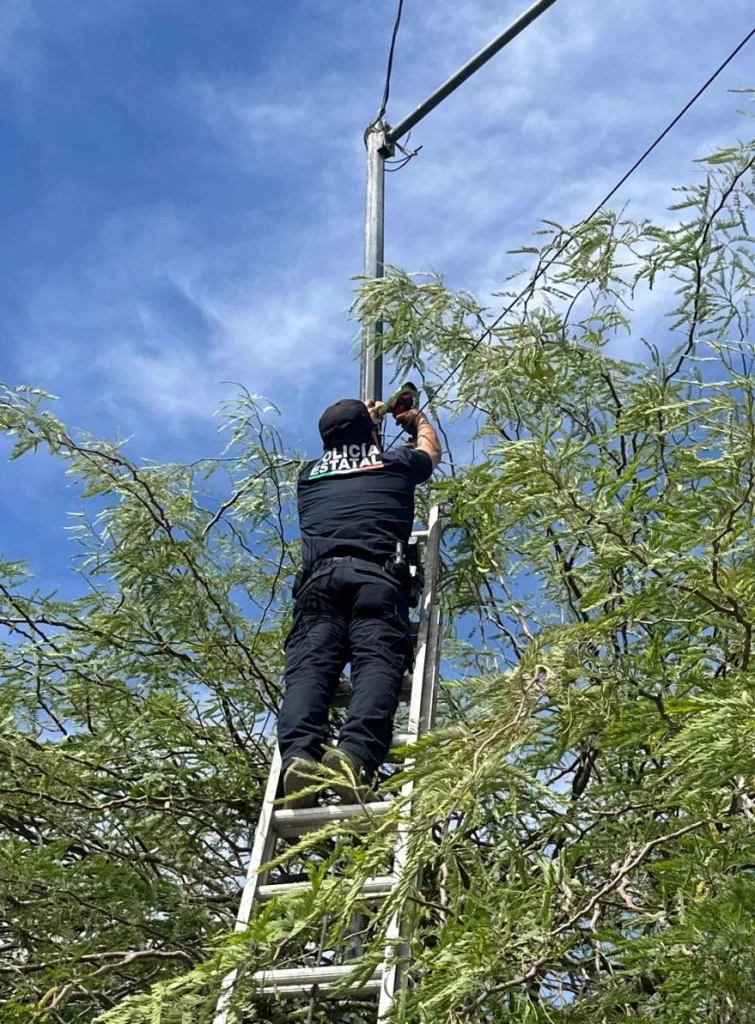 Asegura Gobierno de Sonora y SEMAR cámaras de videovigilancia durante operativo en Hermosillo