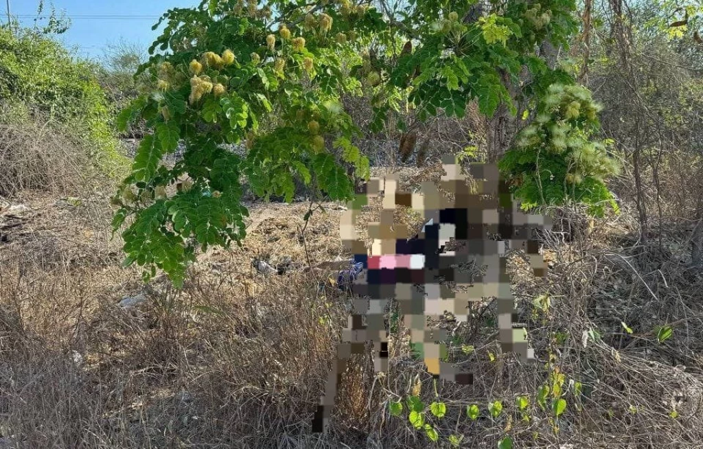 Amordazado localizan a un hombre sin vida cerca de la Termoeléctrica de Mazatlán