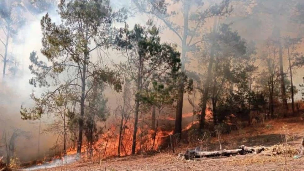 Fuerte incendio en la zona serrana de Concordia se está extendiendo rápidamente