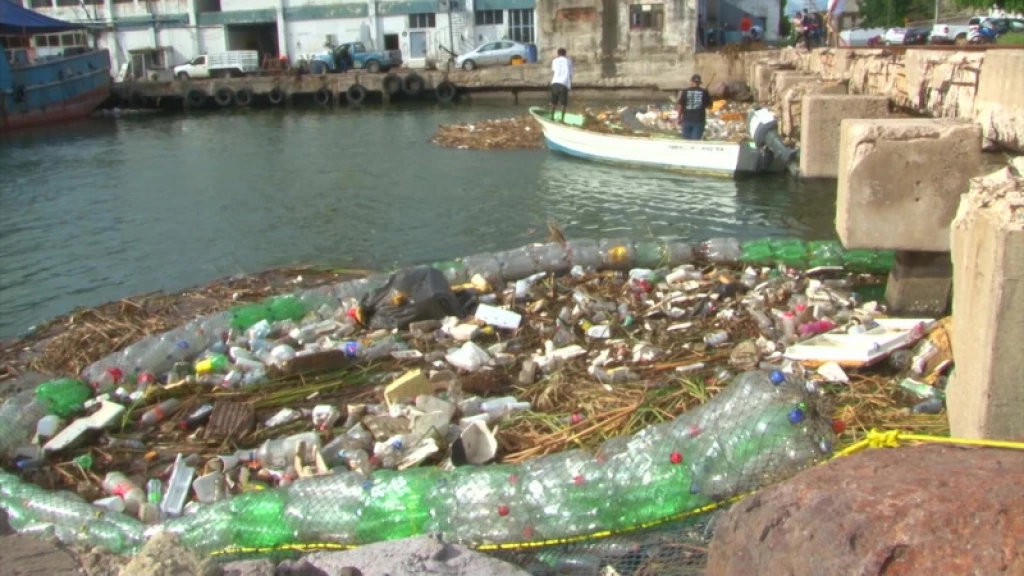 Biobarda del Puente Juárez capta hasta 1 tonelada de basura al mes señala MazConCiencia