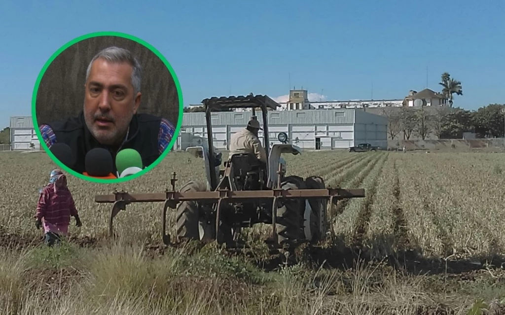 Urgen recursos para reactivar el agro en Sinaloa: AARFS
