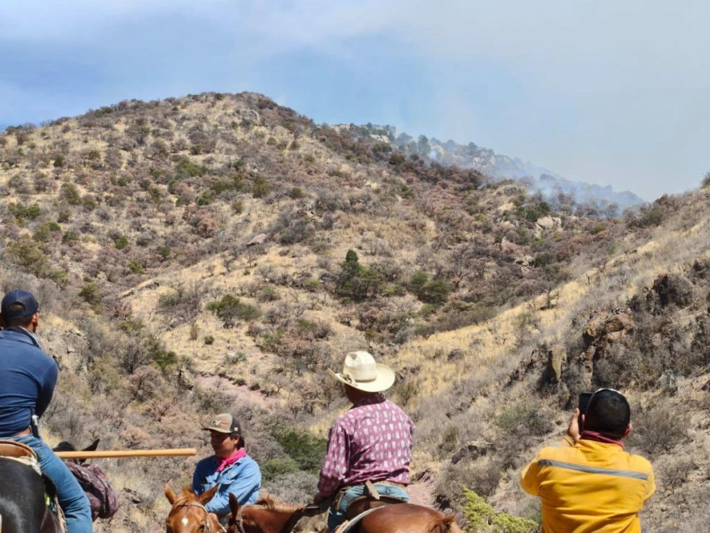 Gobierno de Sonora sofoca incendio forestal en Tubutama