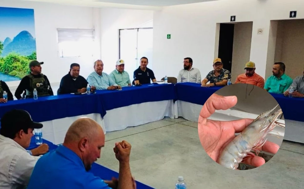 ¡Alerta! Denuncian acuacultores de Ahome robo generalizado de camarón en granjas