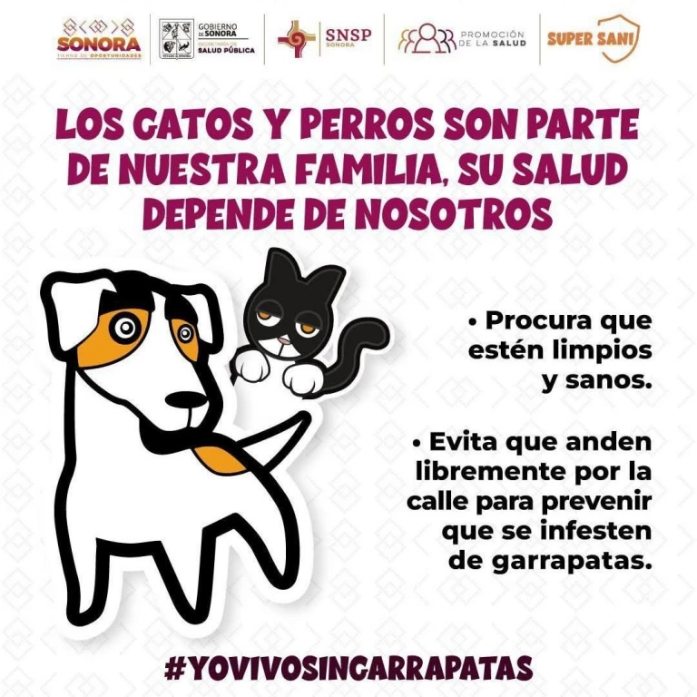 Exhorta Gobierno de Sonora a detectar a tiempo la rickettsiosis para una atención oportuna