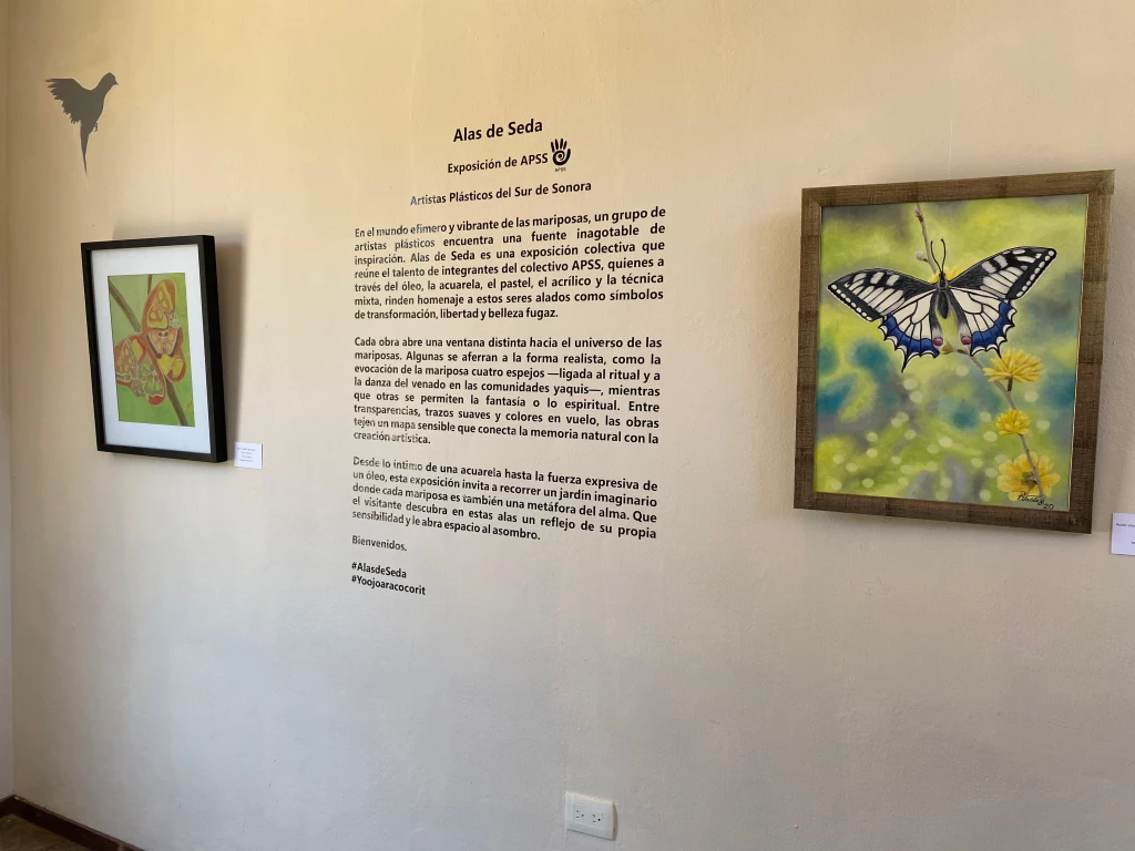 Inauguran “Alas de seda”, exposición colectiva que celebra la transformación en Yo’o Joara