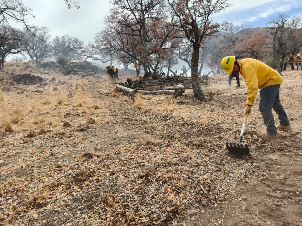 Sonora logra control total de incendios forestales