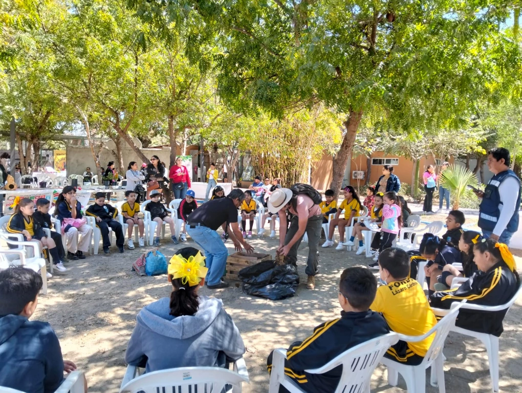 Ecología Municipal ha donado más de 1,500 arbolitos nativos