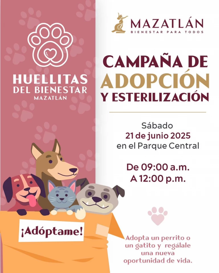 ¿Quieres un amigo de cuatro patas? El próximo 21 de junio se realizará una campaña de adopción