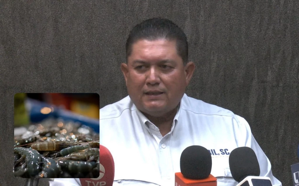 Acuacultores de Ahome piden reforzar operativos ante próximas cosechas