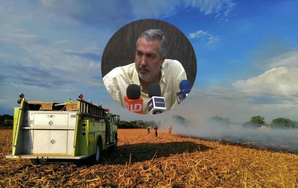 ¡Atención! Asociación de Agricultores pide a autoridades ahomenses sancionar efectivamente la quema de soca