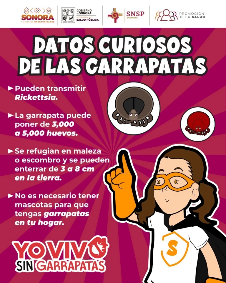 Trabaja Gobierno de Sonora en acciones preventivas contra la rickettsiosis
