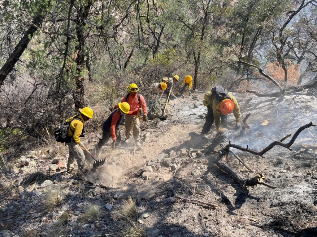 Gobierno de Sonora combate incendio forestal en Agua Prieta