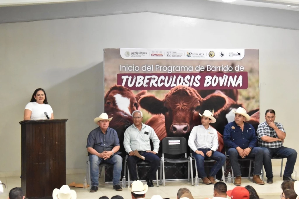 Inician en San Ignacio Río Muerto barrido sanitario contra tuberculosis bovina
