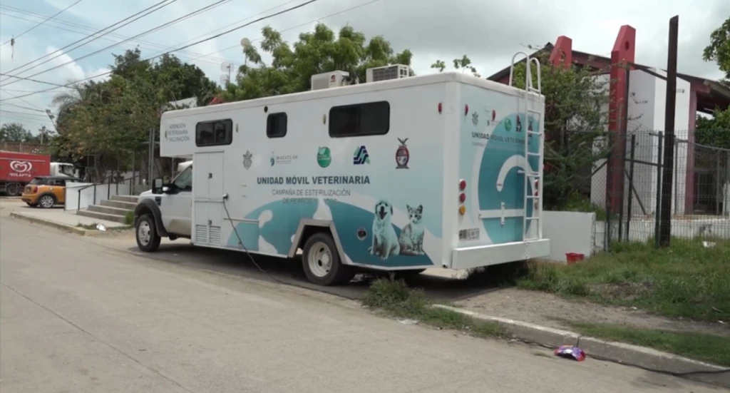 Si tu mascota aún no está esterilizada, acude a la Campaña de esterilización del programa "Huellitas del Bienestar"