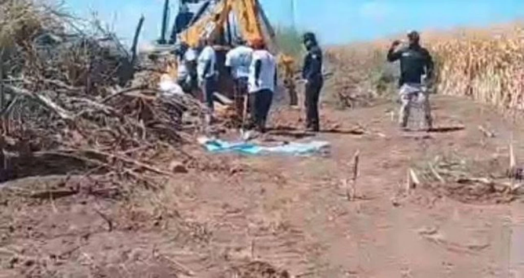 Localizan 11 osamentas en el Valle del Yaqui durante jornada de búsqueda