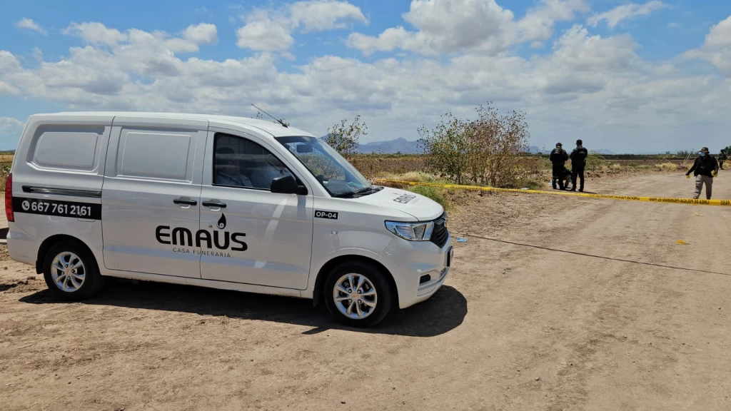 Hallan tres cuerpos ejecutados con huellas de tortura en camino de terracería en Navolato