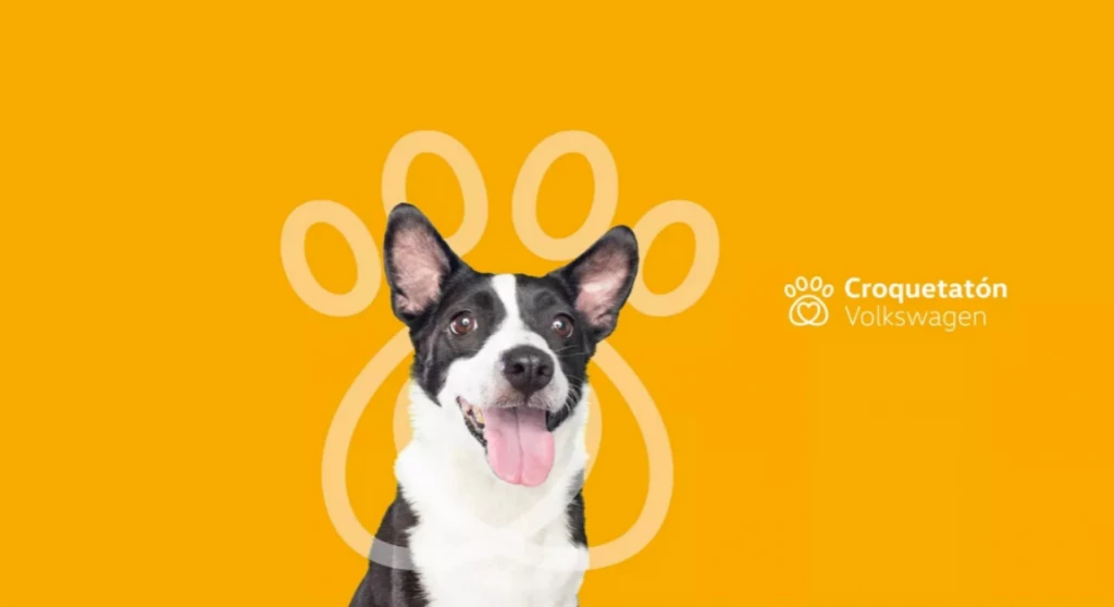 Popul Auto Mazatlán invita a donar croquetas para perritos rescatados