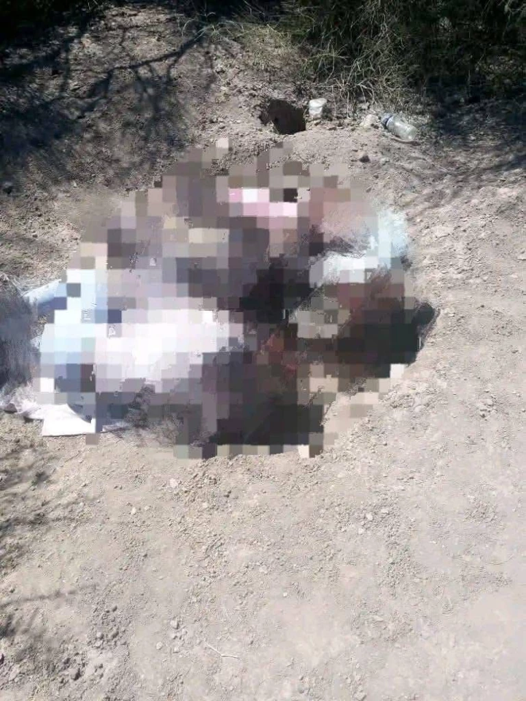 Tres pequeñas asesinadas en Miguel Alemán; Hermosillo consternado por crimen atroz