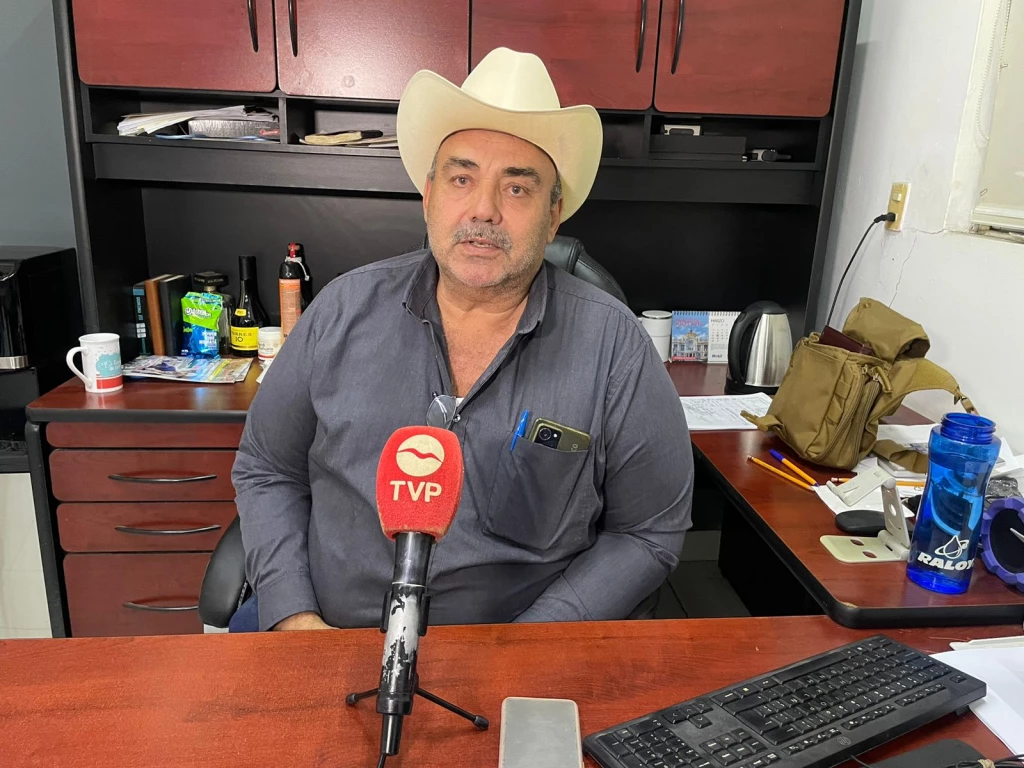 Se detienen las muertes de ganado en Mazatlán, porque ya hay alimento verde