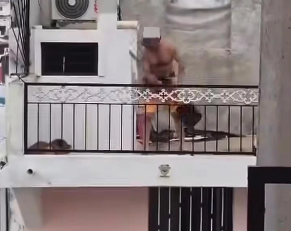 Detienen a hombre que golpeó con brutalidad a un perro en Mazatlán