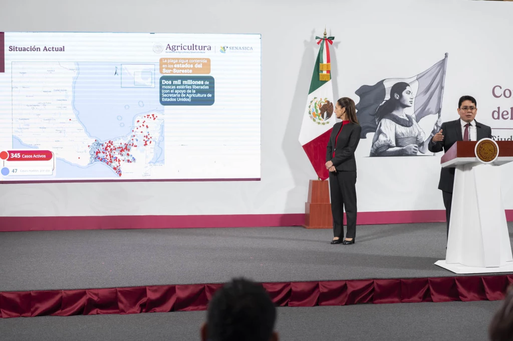 Disminuyen los casos de gusano barrenador en México