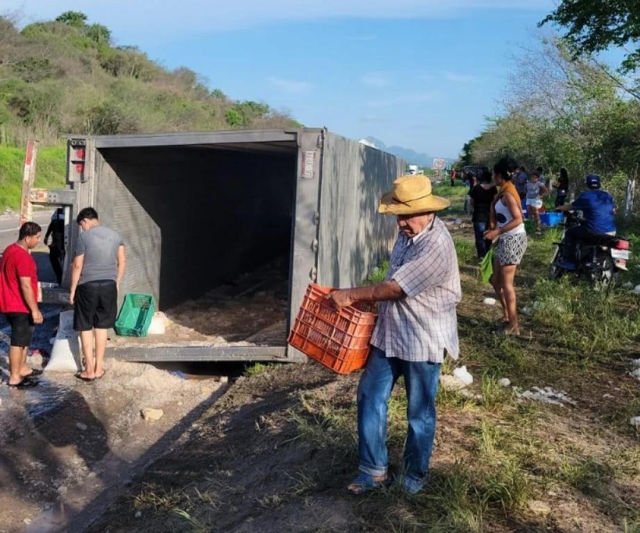 Volcadura de tráiler con camarones provoca saqueo y caos vial en Escuinapa