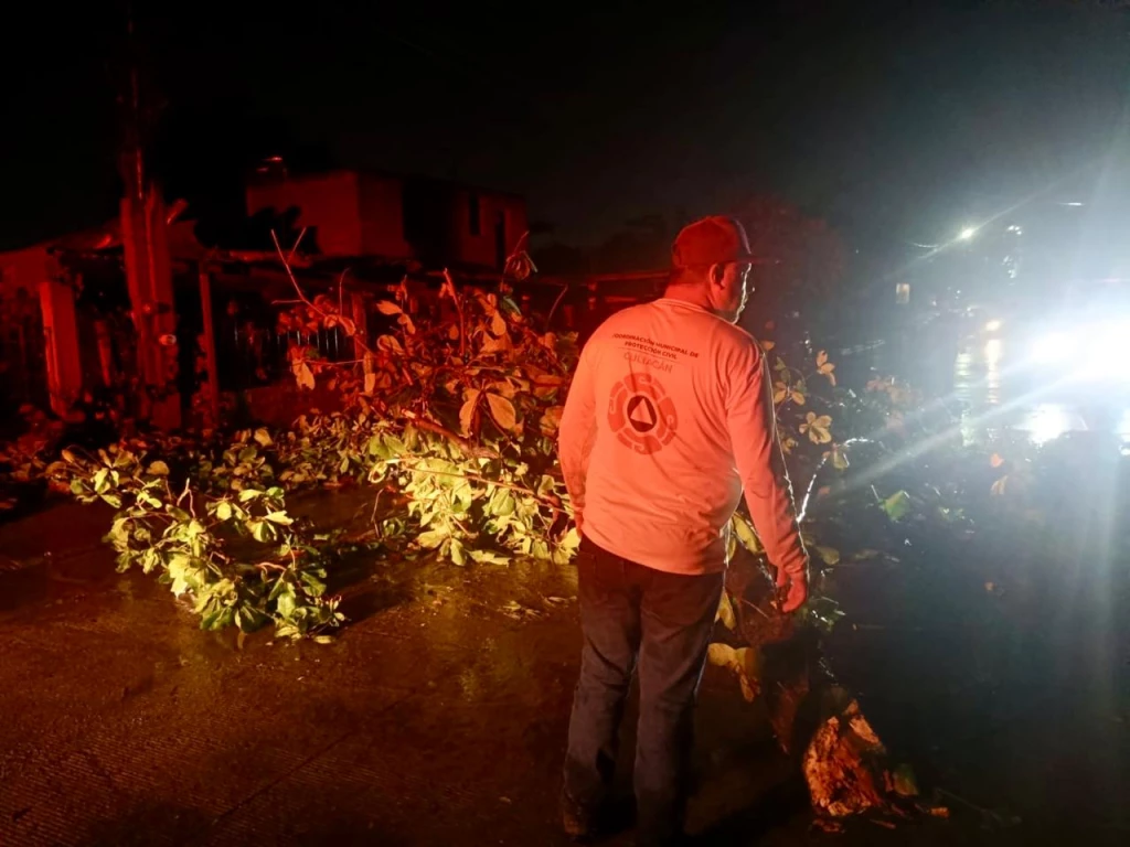 Durante la lluvia reportaron 16 apoyos viales 8 fueron por árboles o ramas derribadas