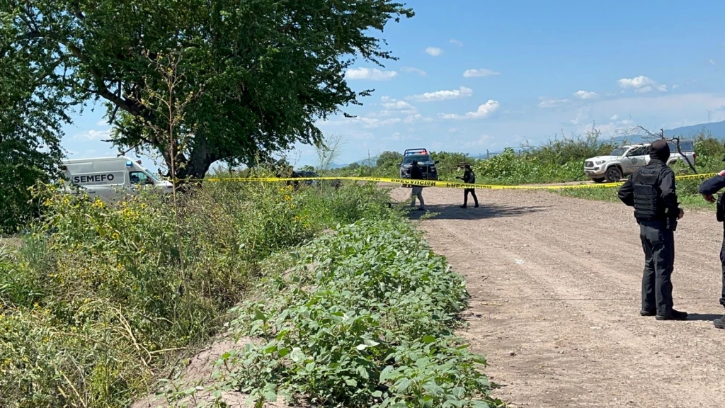 Hallan a hombre ejecutado y en estado de descomposición en Navolato
