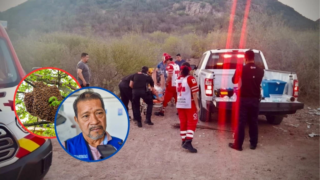 ¡Cuidado con las abejas! Protección Civil exhorta a la ciudadanía a tomar precauciones