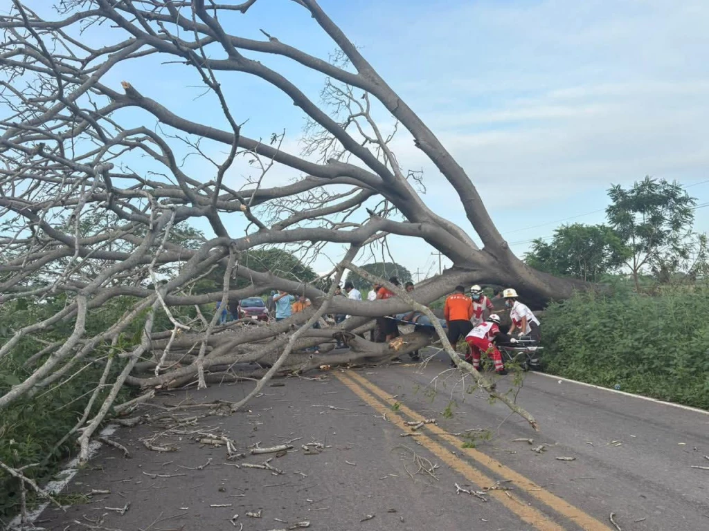 Motociclista choca contra árbol caído y resulta gravemente lesionado