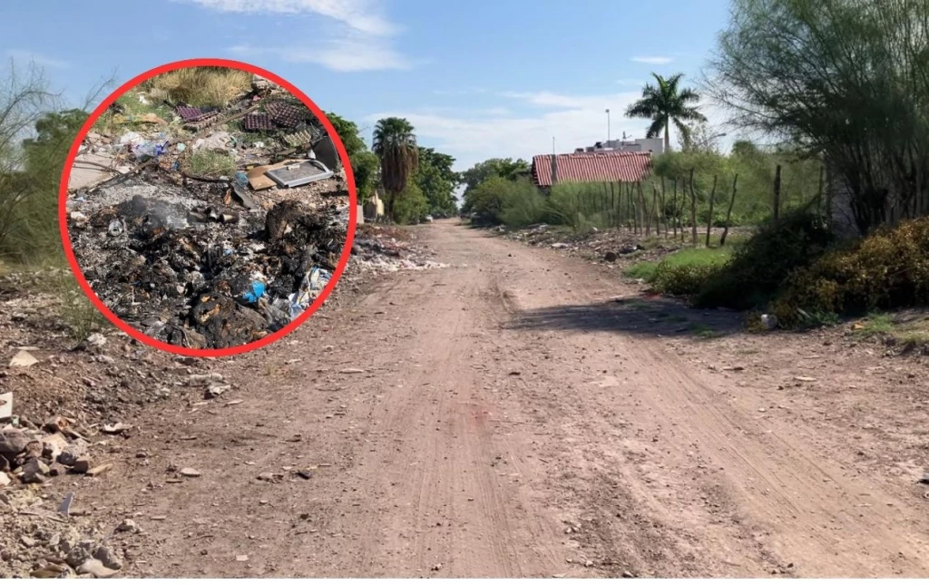 Vecinos de Cañaveral piden pavimentación de la calle Roberto Zavala