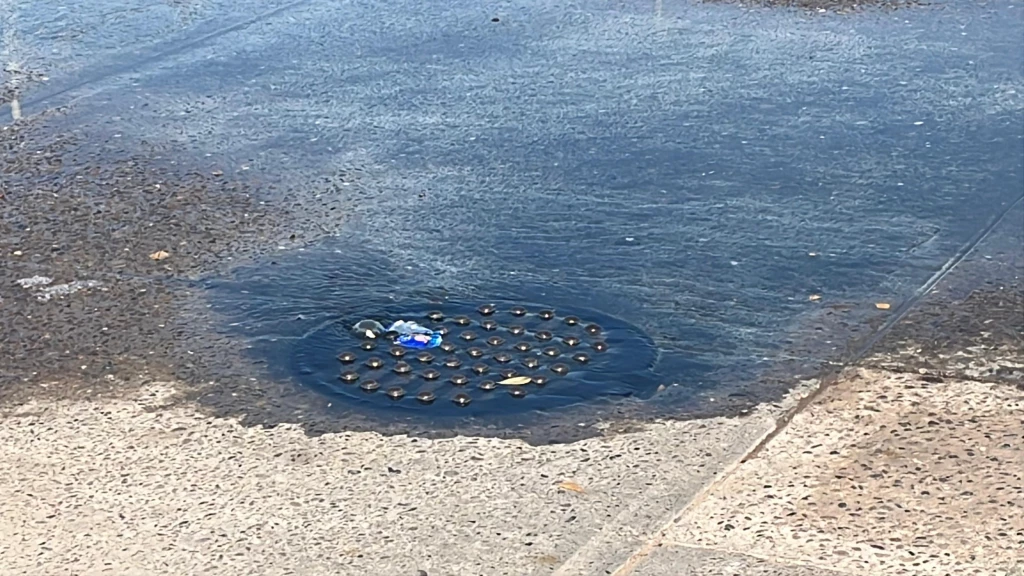 Comerciantes denuncian malos olores por fuga de agua en alcantarilla en Tepeca