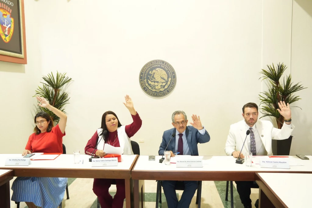Detectan en el PMD de Eldorado deficiencias