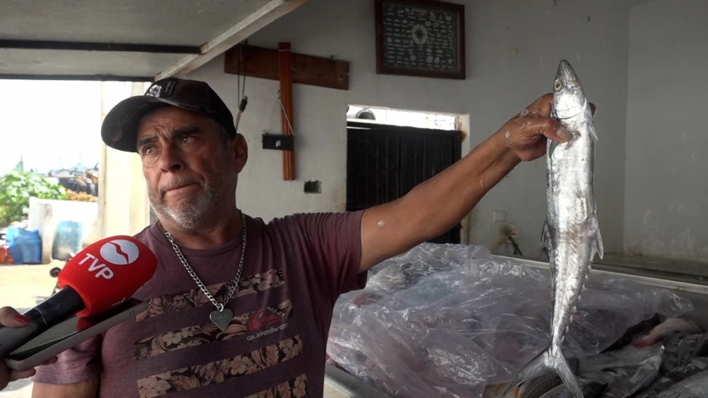 El pescado “Sierra” continúa siendo el preferido por turistas y locales en este verano