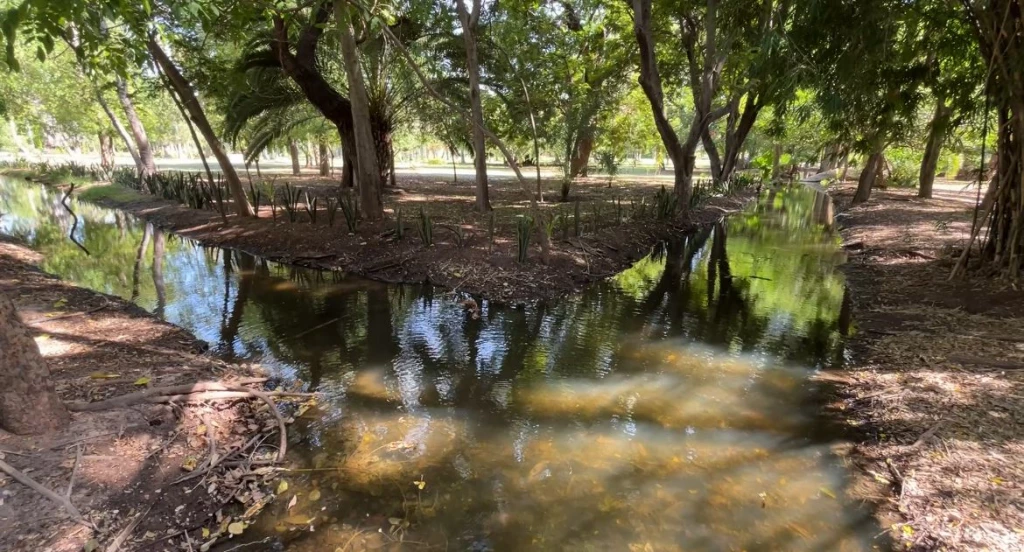 ¡Ya tienen agua los canales de riego del Parque Sinaloa!
