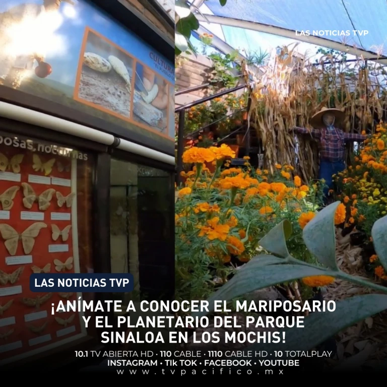 ¡Anímate a conocer el mariposario y el plantario del Parque Sinaloa en Los Mochis!