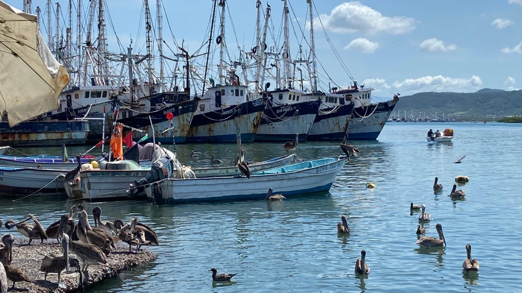 Localizan a hombre ahogado en el embarcadero de la Isla de la Piedra