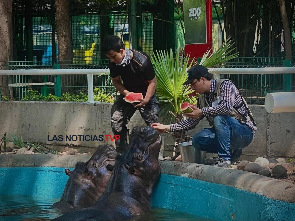 Gloria y Motomoto, el alma del Zoológico de Culiacán